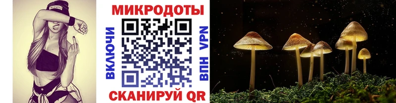Псилоцибиновые грибы Psilocybe  МЕГА сайт  Невинномысск 