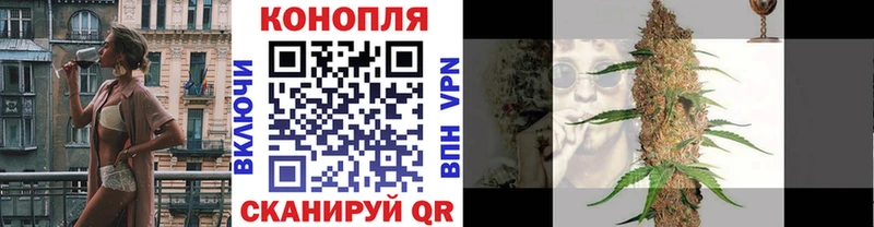 Каннабис OG Kush  Невинномысск 